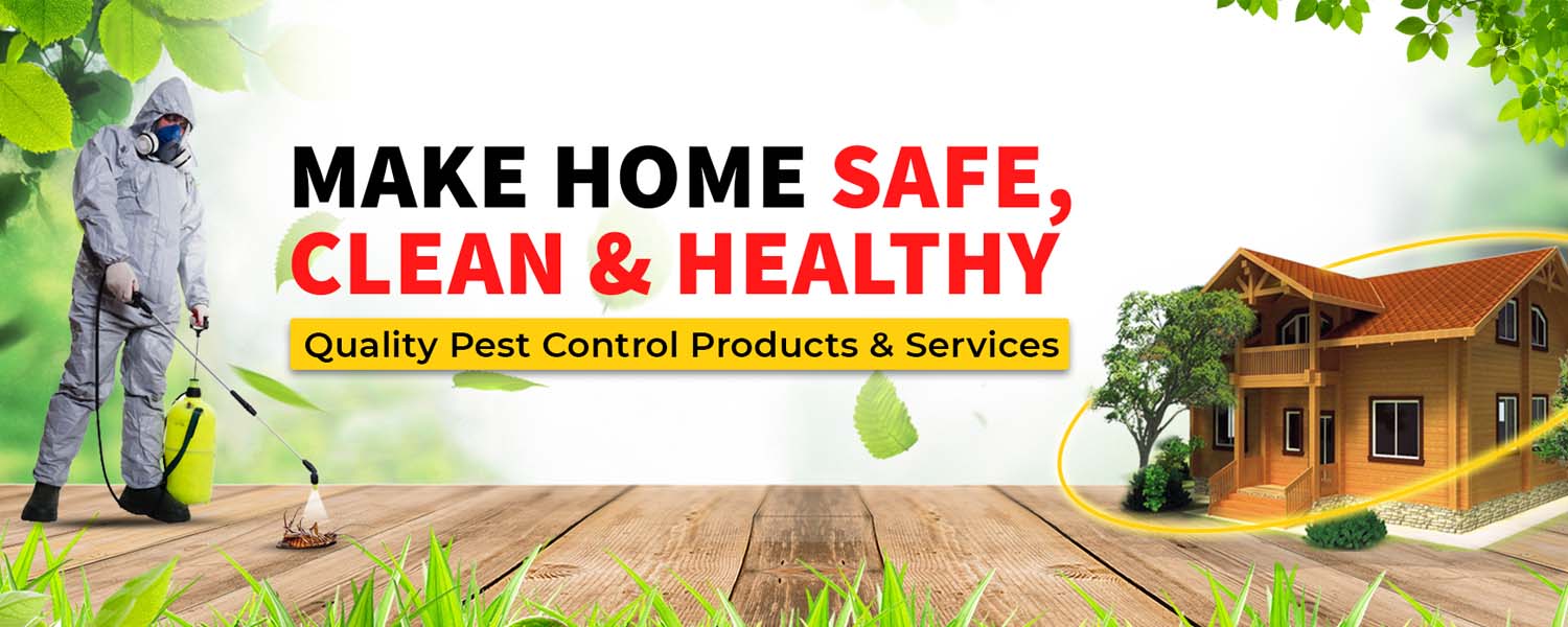 Nysaa Wellness center